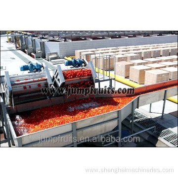 Complete unit of industrial tomato puree processing machine